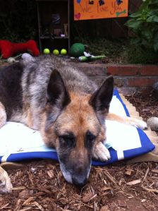 Booker IMG_6151